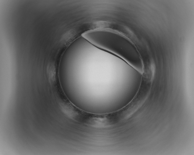 X0000111670552200907171615