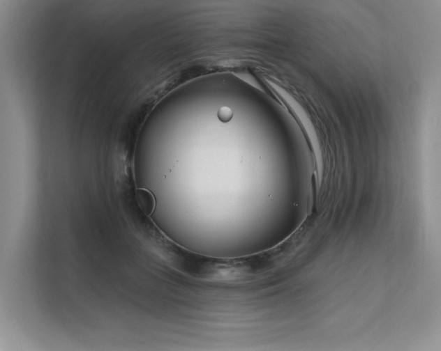 X0000111670555200907171616