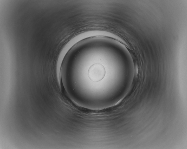 X0000111670556200907171616