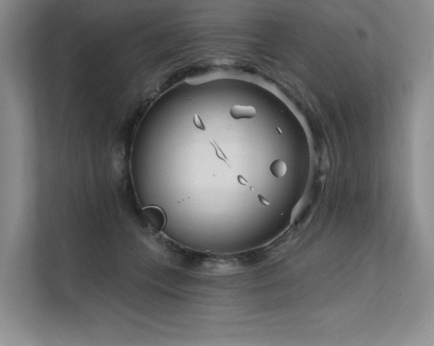 X0000111670559200907171616