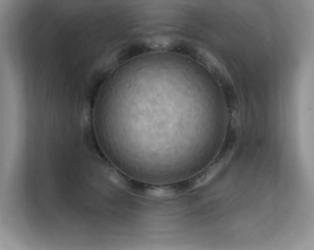 X0000111670561200907171616