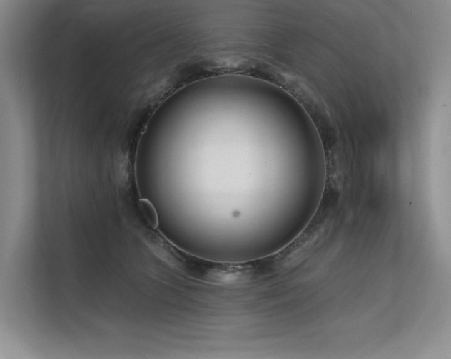 X0000111670563200907171616