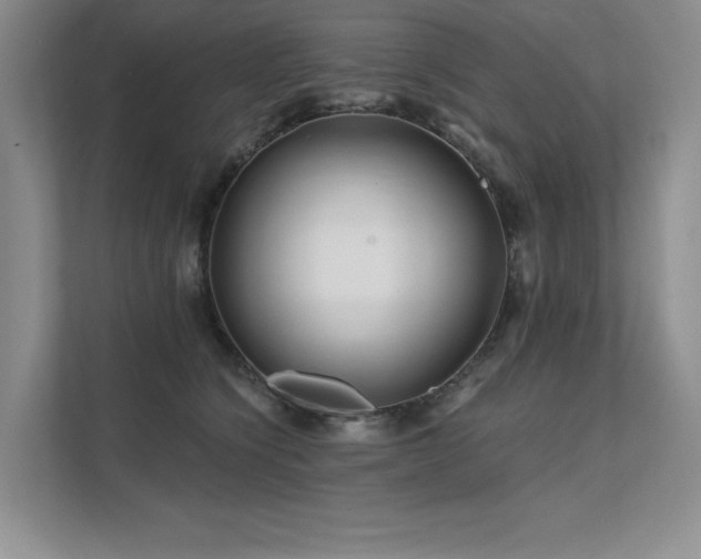 X0000111670564200907171616