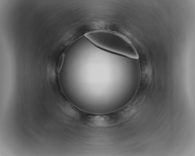 X0000111670566200907171616