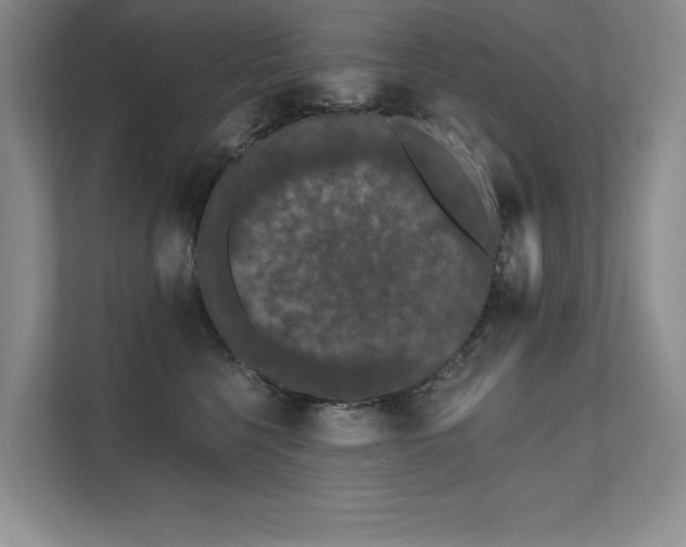 X0000111670568200907171616