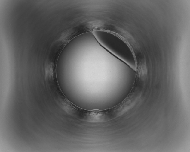 X0000111670570200907171616