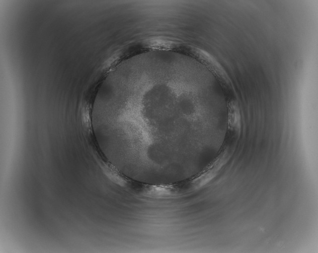 X0000111670573200907171616