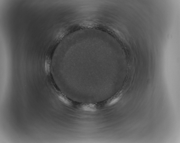 X0000111670576200907171616