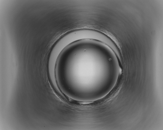 X0000111670577200907171615