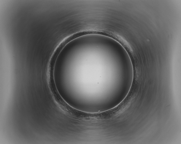 X0000111670580200907171615