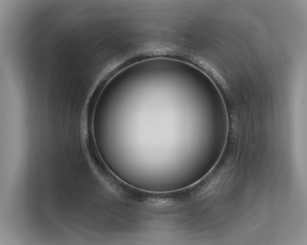 X0000111670582200907171615