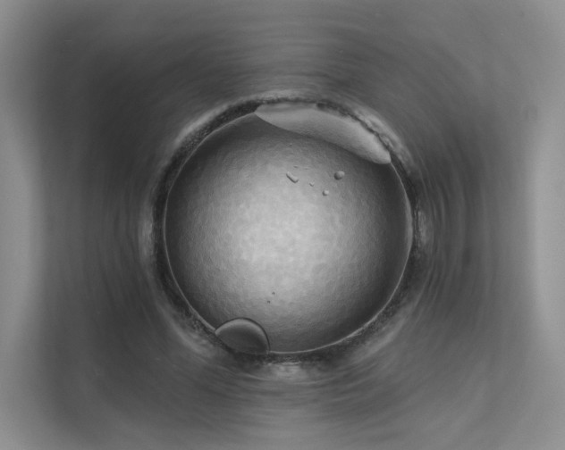 X0000111670588200907171615