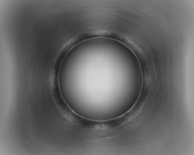 X0000111670591200907171615