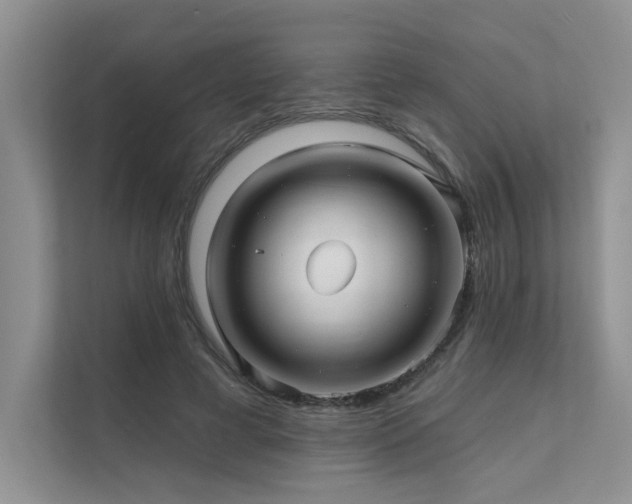 X0000111670593200907171615