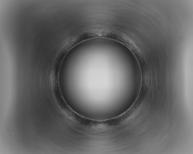 X0000111670594200907171615