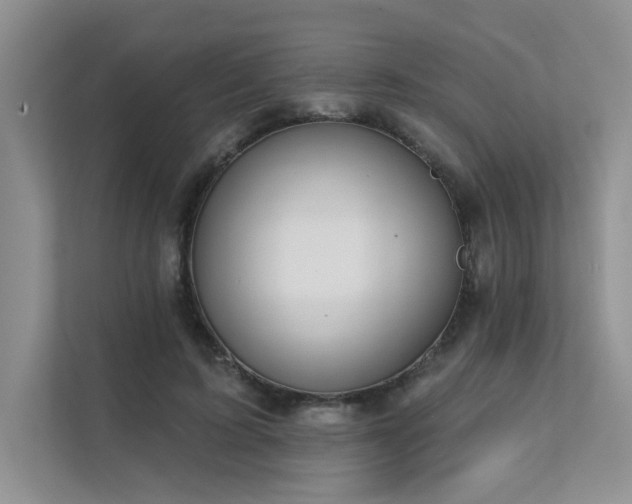 X0000111670595200907171615