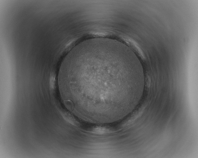 X0000111670596200907171615