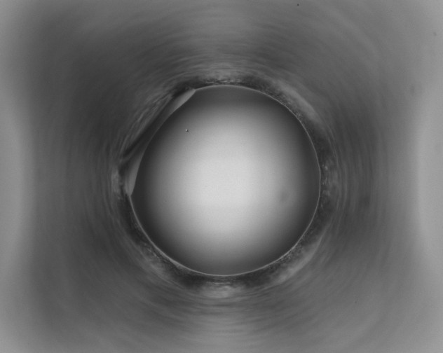 X0000111670597200907171615