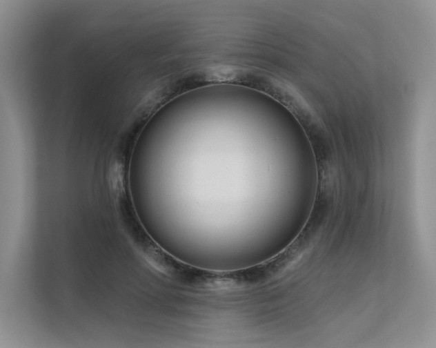 X0000111670598200907171615