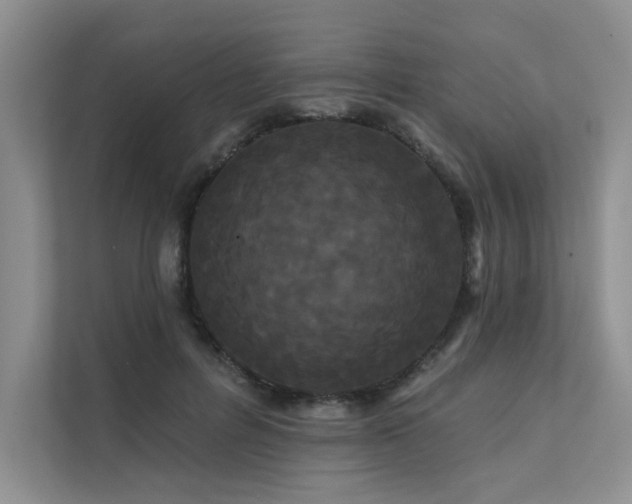 X0000111670600200907171615