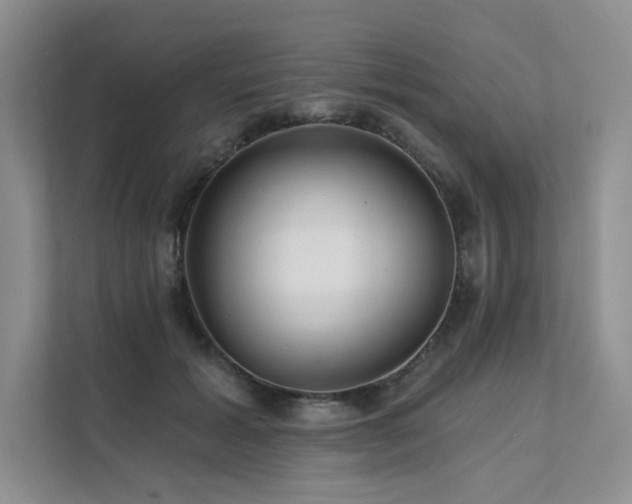 X0000111670605200907171615