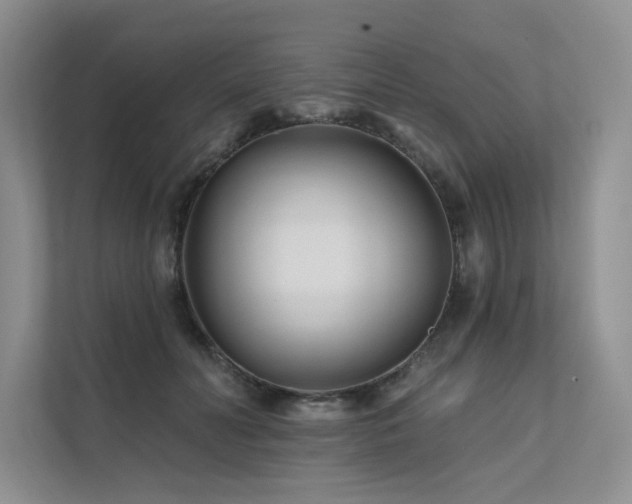 X0000111670606200907171615