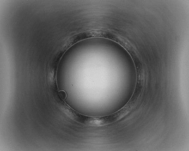 X0000111670610200907171615