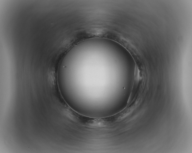 X0000111670612200907171615