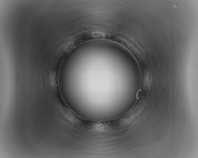 X0000111670616200907171615