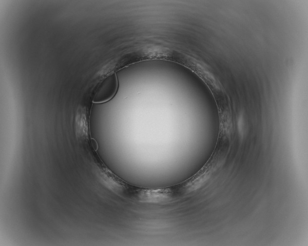 X0000111670622200907171615