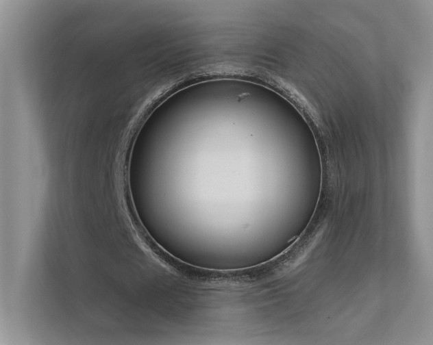 X0000111670625200907171614