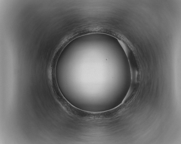 X0000111670626200907171614