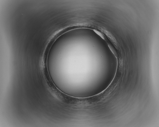 X0000111670628200907171614