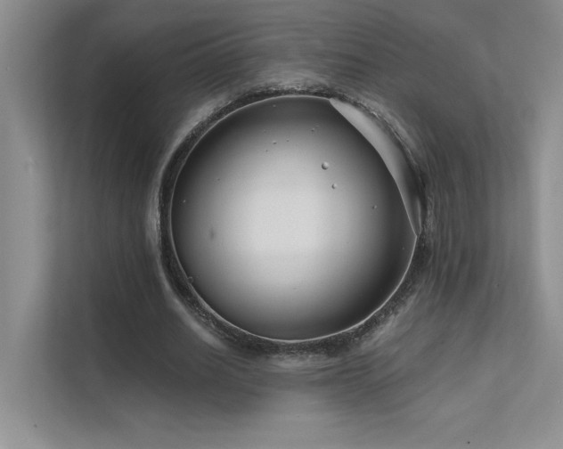 X0000111670630200907171614