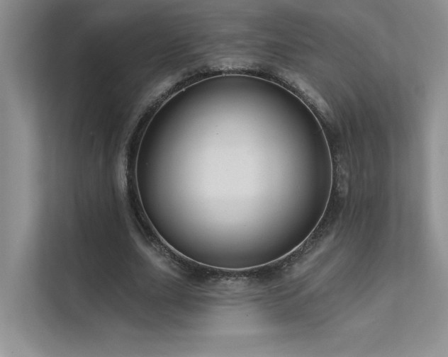 X0000111670631200907171614