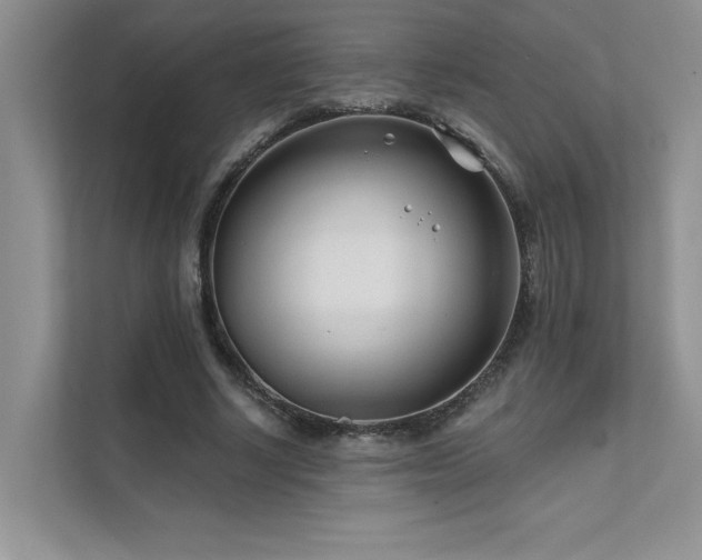 X0000111670634200907171614