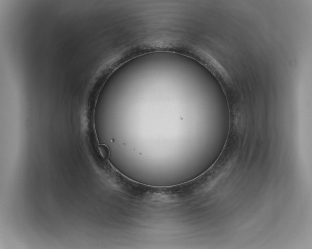 X0000111670635200907171614