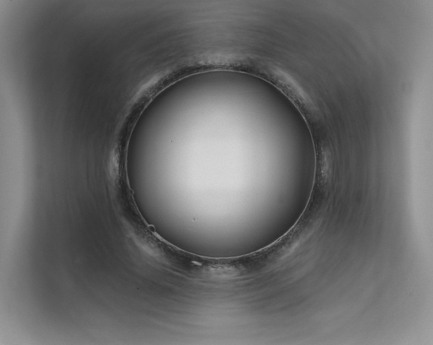 X0000111670636200907171614