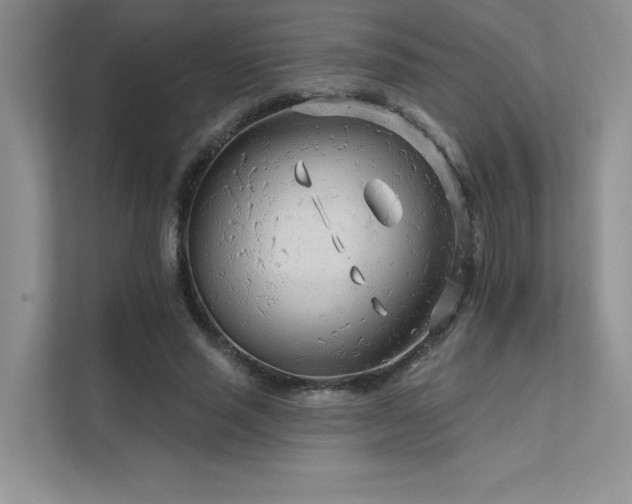 X0000111670637200907171614