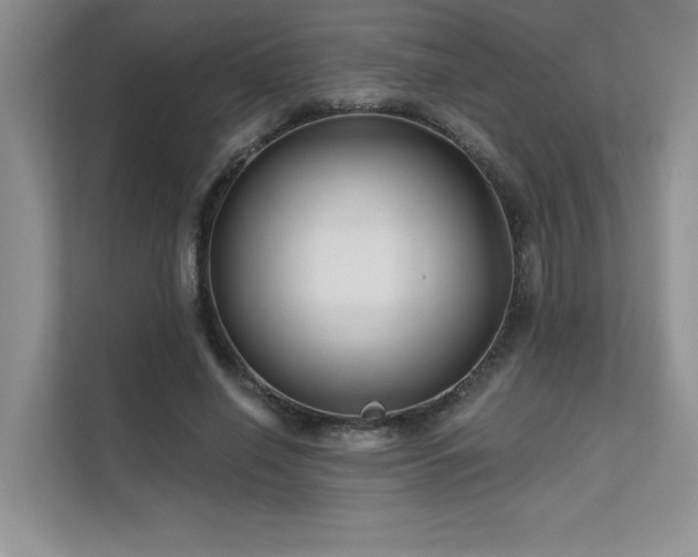 X0000111670638200907171614