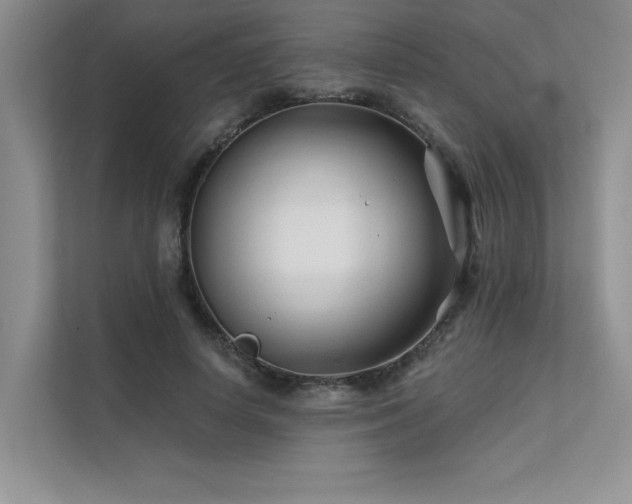 X0000111670642200907171614