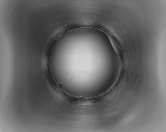 X0000111670643200907171614