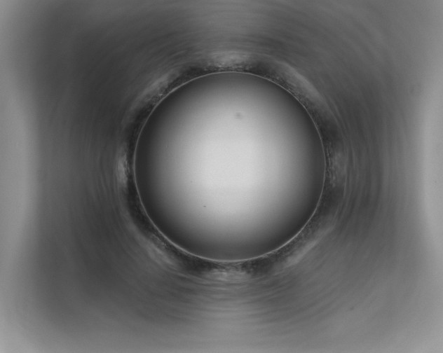 X0000111670644200907171614