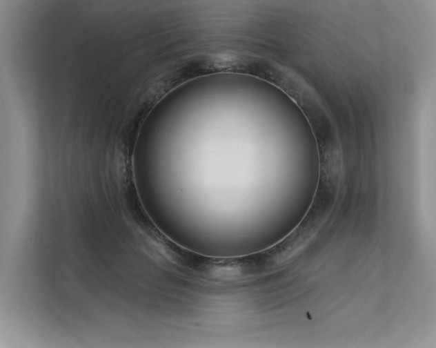 X0000111670653200907171614