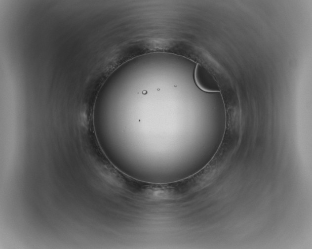 X0000111670655200907171614