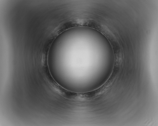 X0000111670656200907171614