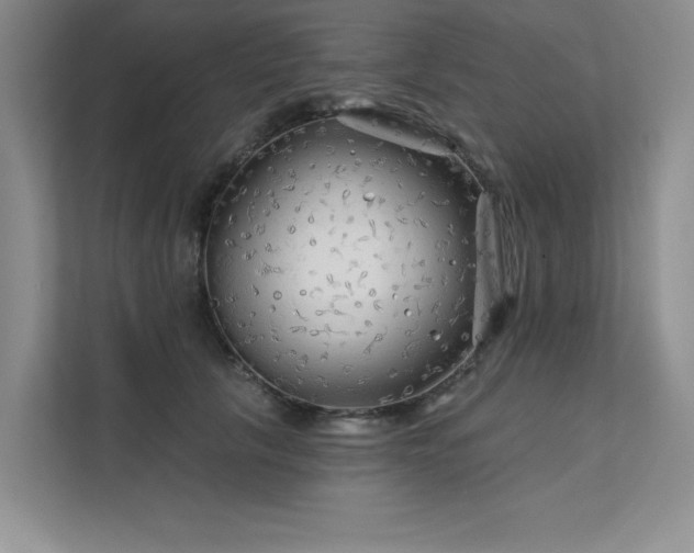 X0000111670657200907171614