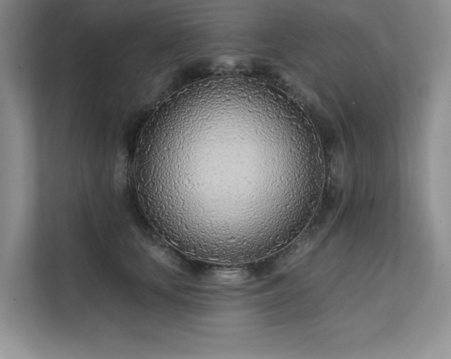 X0000111670659200907171614