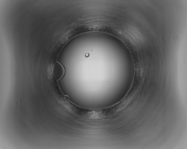 X0000111670660200907171614