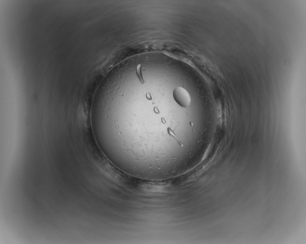 X0000111670661200907171614